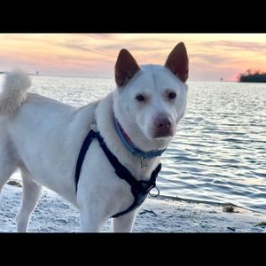 Meet your Posher, Tracey